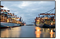 DUTCH GOVERMENT MLETR