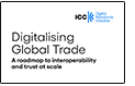 ICC DSI REPORT